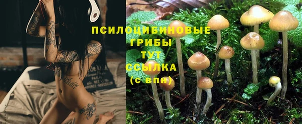индика Арсеньев