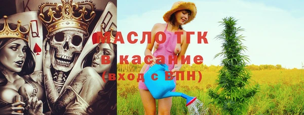индика Арсеньев