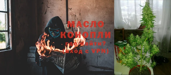 СК Аркадак
