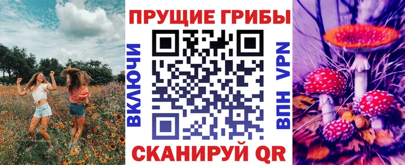 Галлюциногенные грибы Magic Shrooms  где купить наркотик  Дивногорск 